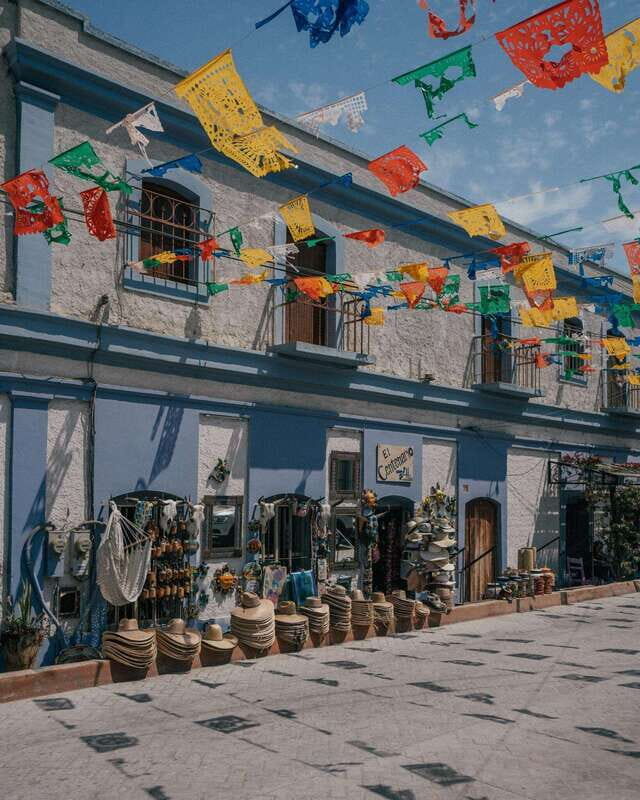 La Paz: Todos Santos Day Trip - The Value of This Trip