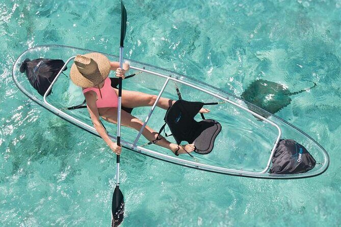 La Paz Transparent Kayaks & Paddle Boards - Exploring La Paz Transparent Kayaks & Paddle Boards: An In-Depth Look