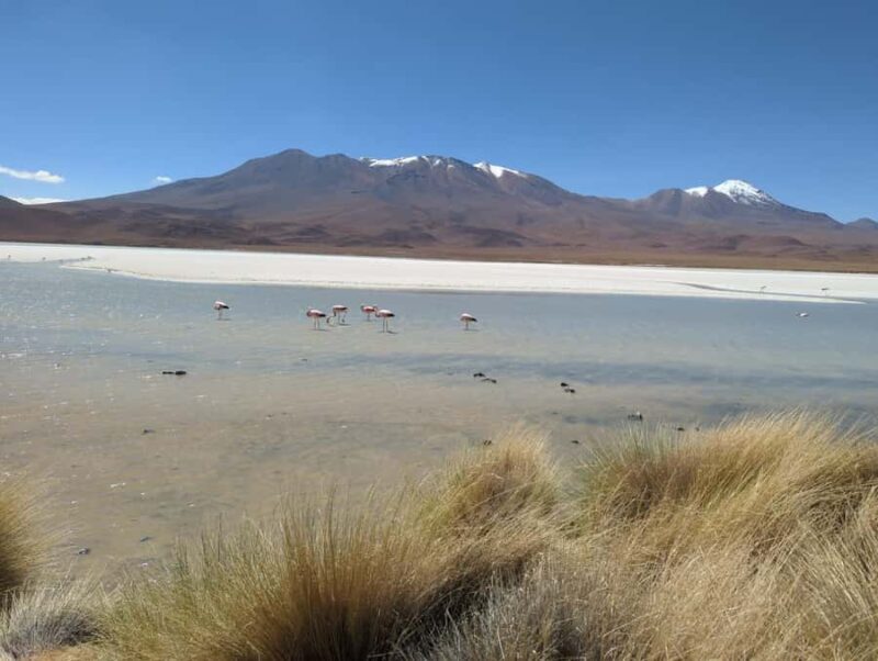 La Paz: Uyuni Salt Flats and Incahuasi Island 5 days by bus - Who Will Appreciate This Tour?