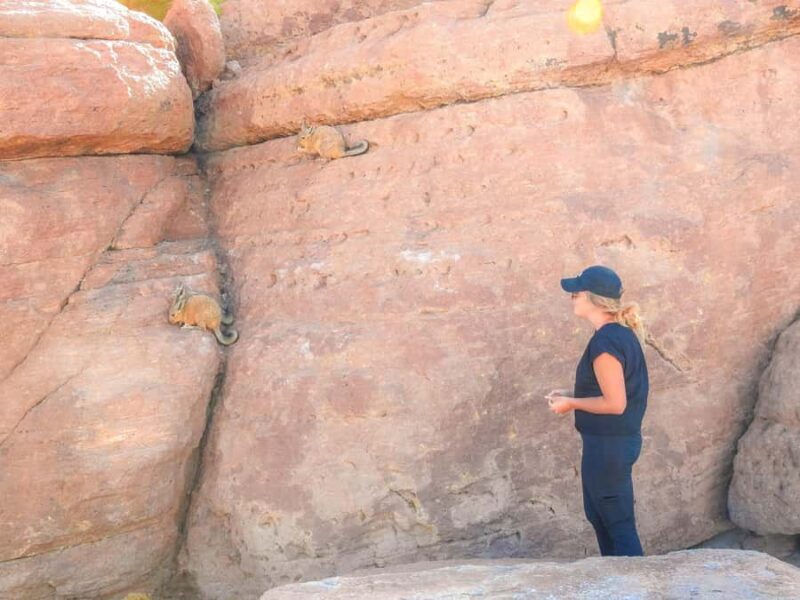 La Paz: Uyuni Salt Flats & Isla Incahuasi 5-Day Bus Tour - FAQ