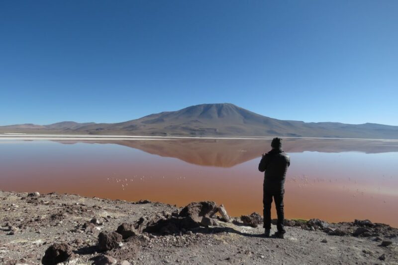 La Paz: Uyuni Salt Flats & Lagoon Share Trip (private room) - An In-Depth Look at the Uyuni Salt Flats & Desert Experience