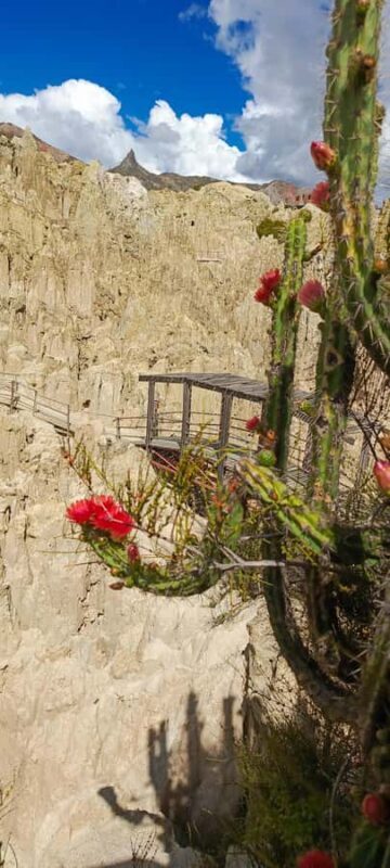 La Paz: Valle de las Animas, Moon Valley, & Killi Killi Tour - Final Thoughts