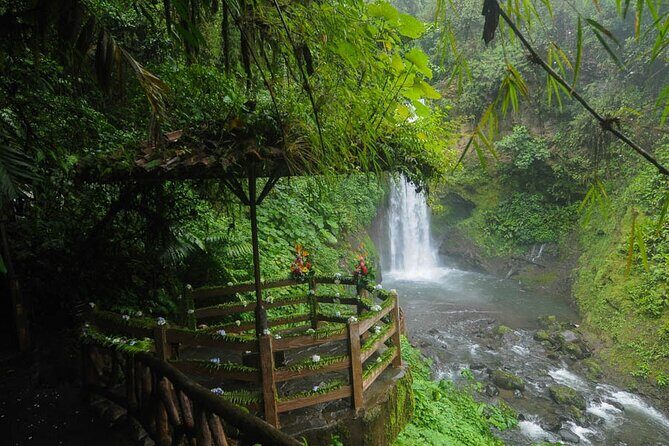 La Paz Waterfall Gardens and Tabacon Hot Springs Private Day Tour from San Jose - Discovering Costa Rica’s Natural Wonders in One Day
