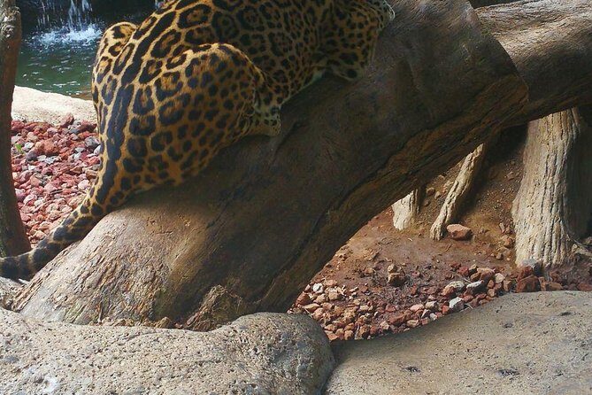 La Paz Waterfall Gardens and Wildlife Refuge Tour from San Jose - Practical Details for Travelers