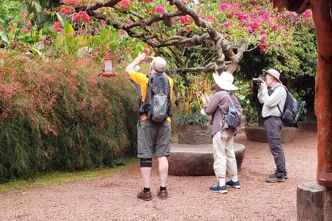 La Paz Waterfall Gardens Half-Day Tour from San José - Final Thoughts: Is It Worth It?