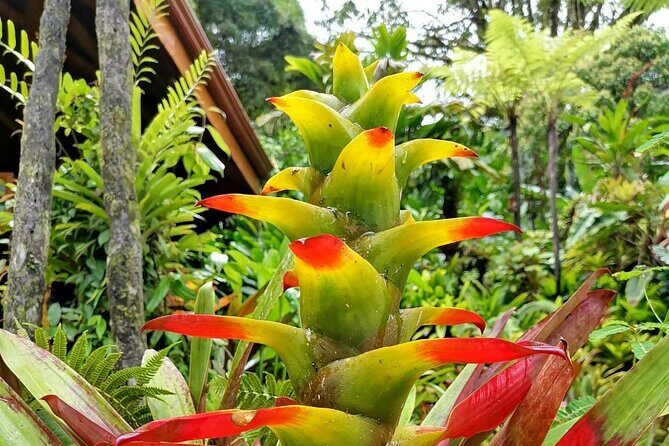 La Paz Waterfall Gardens Nature Park Full-Day Tour - FAQs