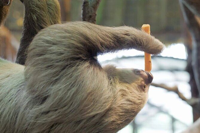 La Paz Waterfalls Gardens Tour (Half day) - Final Thoughts