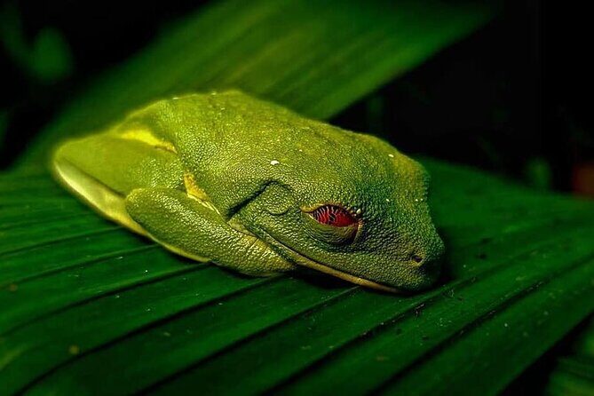 La Paz Waterfalls Gardens Tour (Half day) - A Thorough Look at the Tour Experience