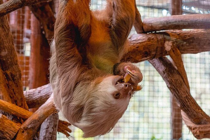 La Paz Waterfalls Gardens Tour (Half day) - FAQ