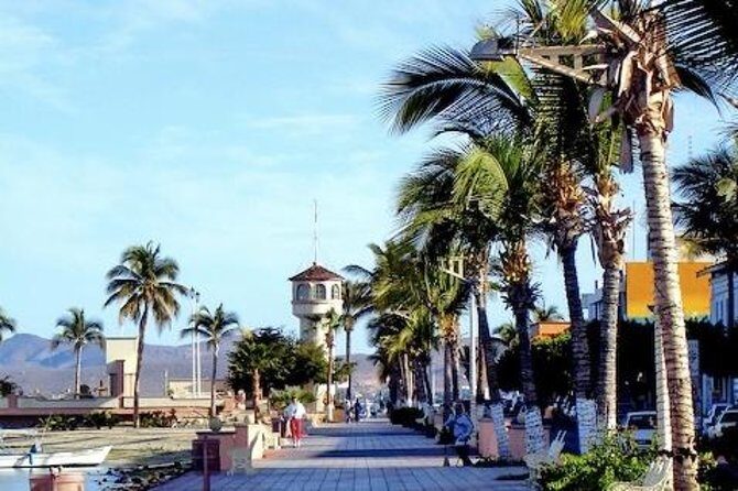 La Paz Whale Shark Snorkeling Tour and Lunch From Los Cabos - Final Thoughts