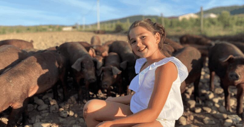 La Rioja: Jamon Iberico Farm Tour and Tasting with Wine - In-Depth Review: What Makes This Tour Stand Out