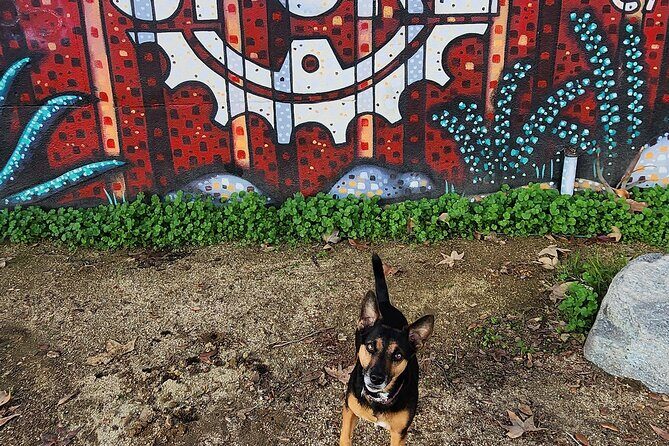 LA River Eco Tour and Secret Stair Hike - An In-Depth Look at the LA River Eco Tour and Secret Stair Hike