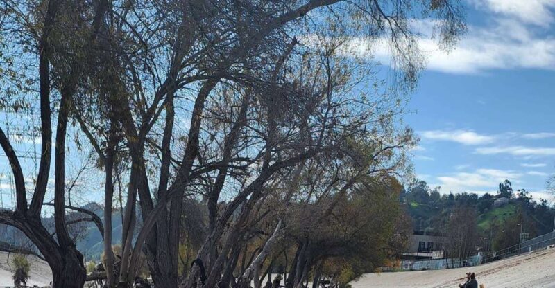 LA River Eco Tour and Secret Stair Hike - Practical Details