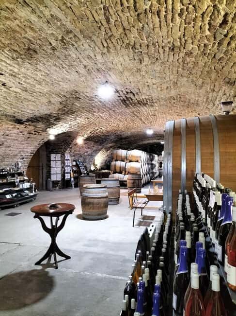 La Roche Vineuse: Tour of the Vine and Wine Museum - Who Will Love This Tour?
