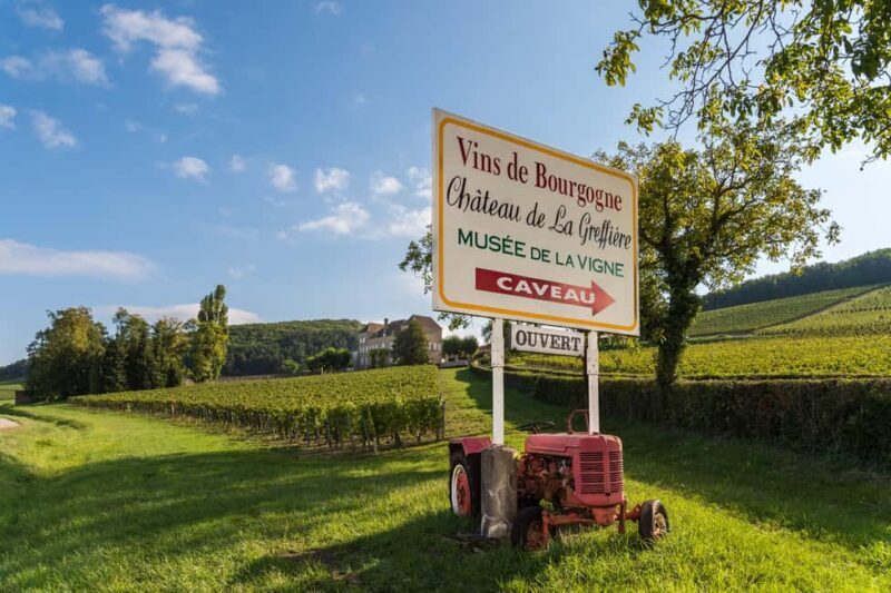 La Roche Vineuse: Tour of the Vine and Wine Museum - Key Points