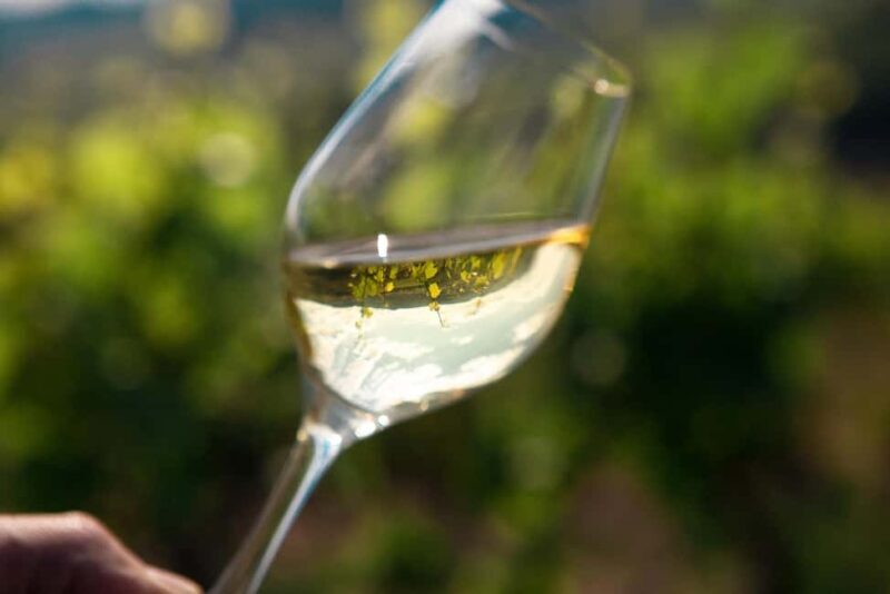 La Roche Vineuse: Tour of the Vine and Wine Museum - Who Is This Tour Best For?