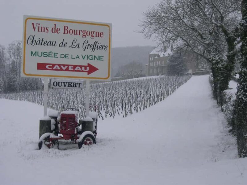 La Roche Vineuse: Tour of the Vine and Wine Museum - Final Thoughts
