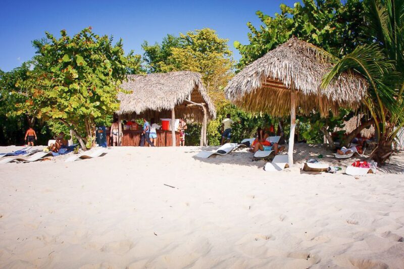 La Romana: Catalina Island Full-Day Snorkeling Tour - A Detailed Look at the Catalina Island Snorkeling Tour