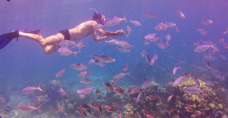 La Romana: Catalina Island Full-Day Snorkeling Tour - Beach Relaxation and Exploration