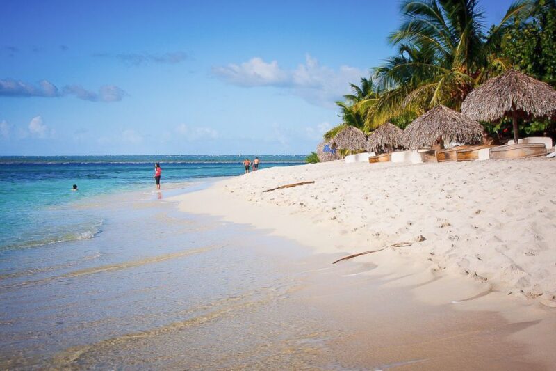 La Romana: Catalina Island Full-Day Snorkeling Tour - FAQ