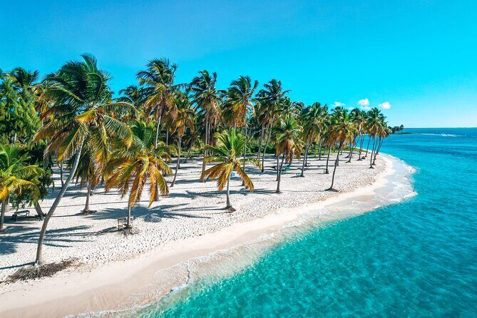 La Romana: Saona Crusoe VIP - Kreuzfahrtgäste - A Deeper Look at the Saona Crusoe VIP Tour