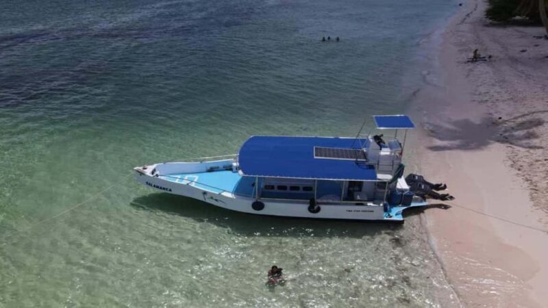 La Romana: Saona Island Tour with Lunch for Mein Schiff - Experience a Day on Saona Island from La Romana: An Honest Review