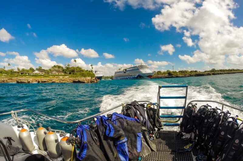 La Romana: Scuba Diving in Catalina Island - Exploring the Full Day: What to Expect