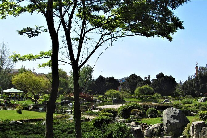 La Serena and Coquimbo Private City Tour Including Lunch, Shore Excursion - Why This Tour Offers Great Value