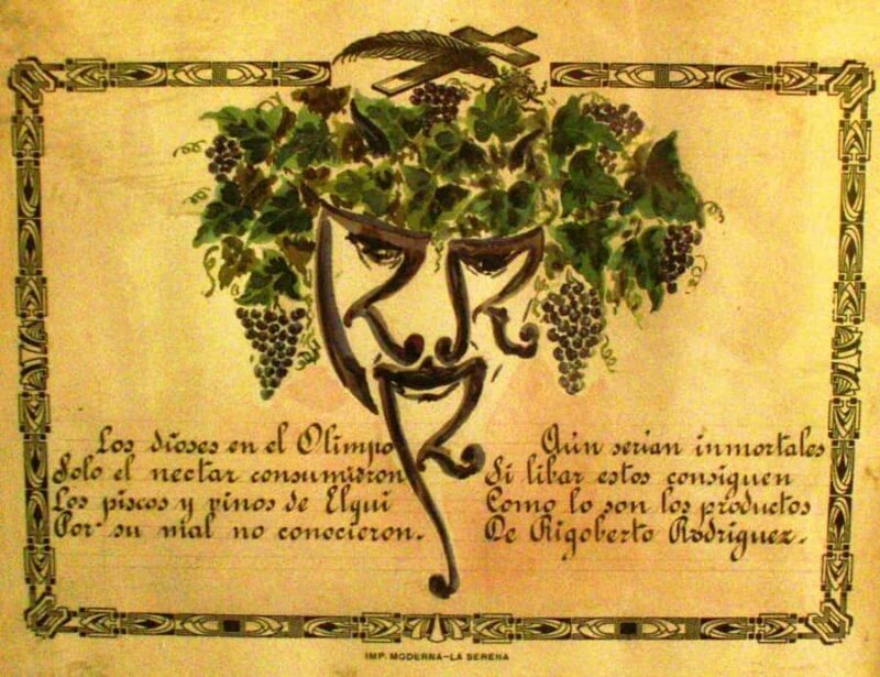 La Serena & Elqui Valley: The Origin of Chilean Wine & Pisco - An In-Depth Look at the Tour Experience