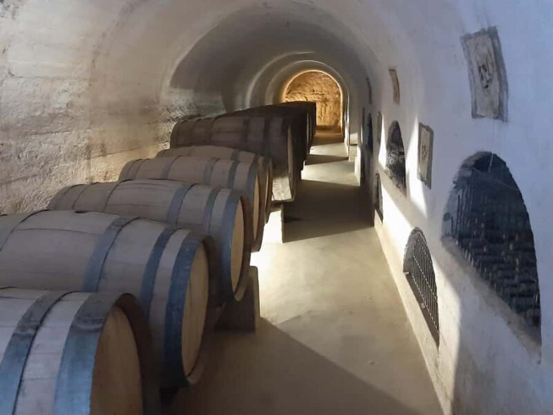 La Serena & Elqui Valley: The Origin of Chilean Wine & Pisco - Why This Tour Offers Real Value