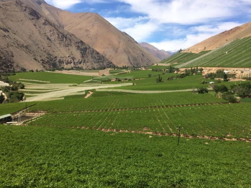 La Serena & Elqui Valley: The Origin of Chilean Wine & Pisco - FAQ