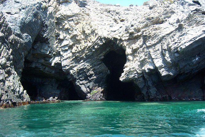 La Serena: Full day to Isla Damas & Humbolt Pinguino National Reserve - Who is This Tour Best Suited For?