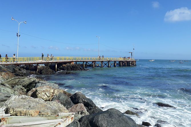 La Serena: Full day to Isla Damas & Humbolt Pinguino National Reserve - Frequently Asked Questions