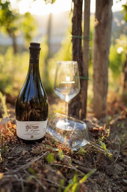 La Spezia: 4 Wines Degustation - Practical Details and Tips for Visitors