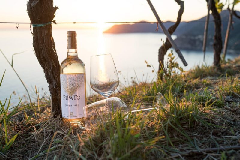 La Spezia: 4 Wines GOLD Degustation - Practical Details and Booking