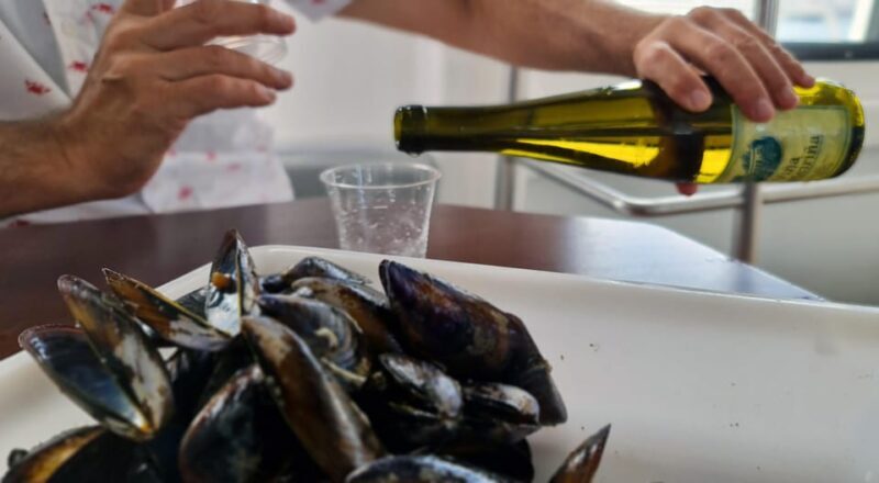 La Toja: Boat Tour at the Arousa estuary with mussel tasting - An Overview of the Experience