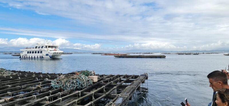 La Toja: Boat Tour at the Arousa estuary with mussel tasting - Key Points