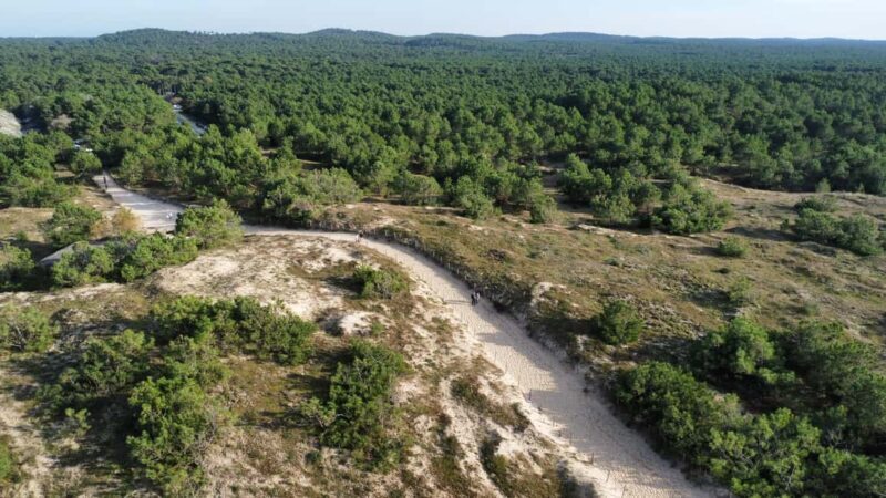 La Tremblade: Hiking in the Forêt Domaniale de la Coubre - Exploring La Tremblade: Nature and Culture Combined