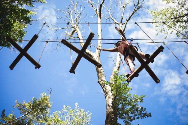 La Tremblade: Oasalis Parcours Adventure Park Entry - Experience the Thrill at La Tremblade’s Oasalis Parcours Adventure Park