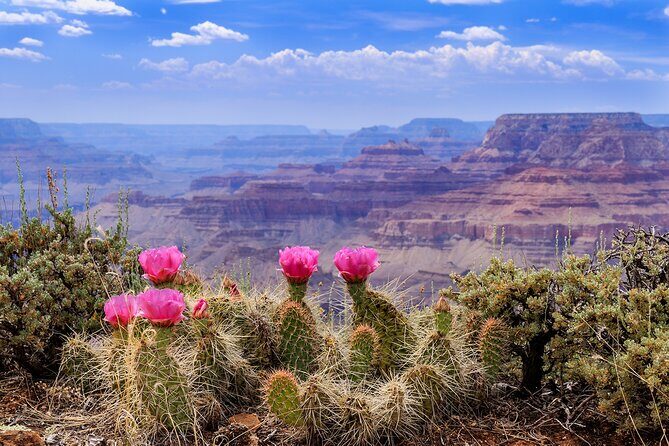 LA: Vegas, Grand Canyon, Antelope and Bryce, Zion 4-Day Tour - Who Should Consider This Tour?