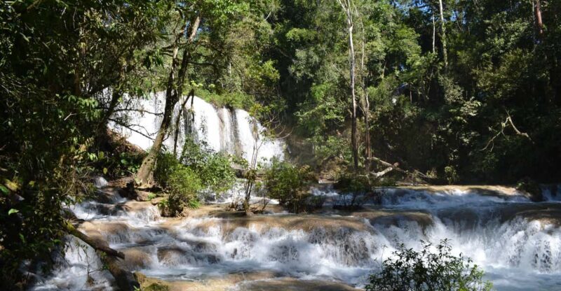 Lacandon Jungle Adventure and Bonampak Archaelogical Site - Final Thoughts
