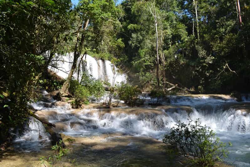Lacandon Jungle Adventure and Bonampak Archaelogical Site - Frequently Asked Questions