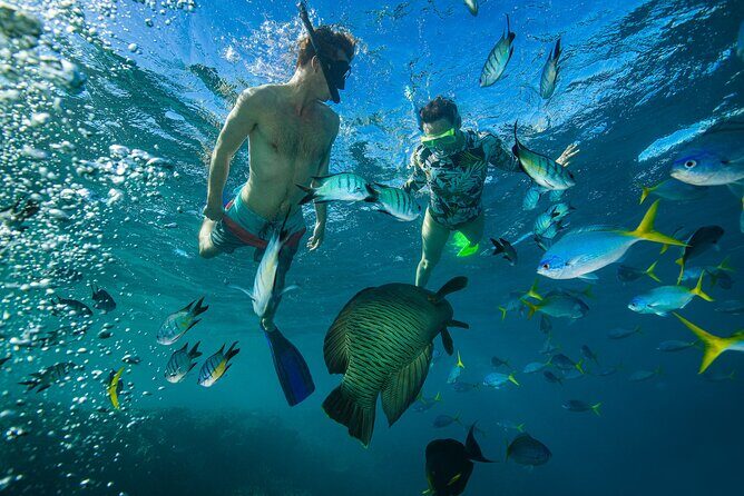 Lady Enid Sailing to Hook Island Cultural Site & Snorkelling - FAQ