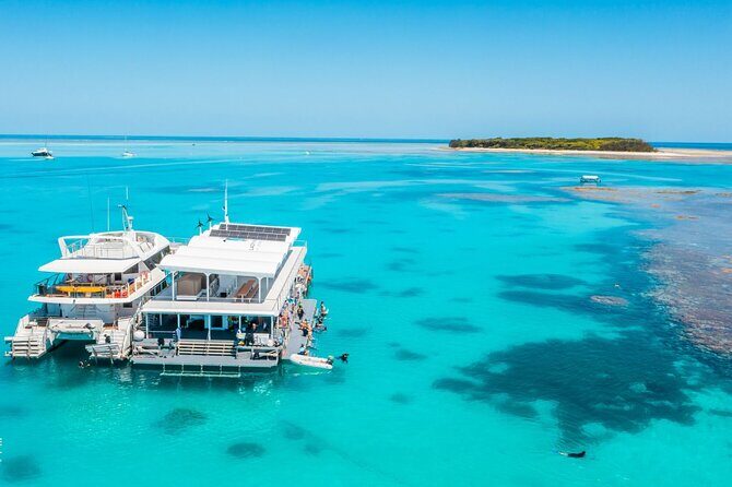 Lady Musgrave Day Trip from Bundaberg Including Snorkeling - Key Points