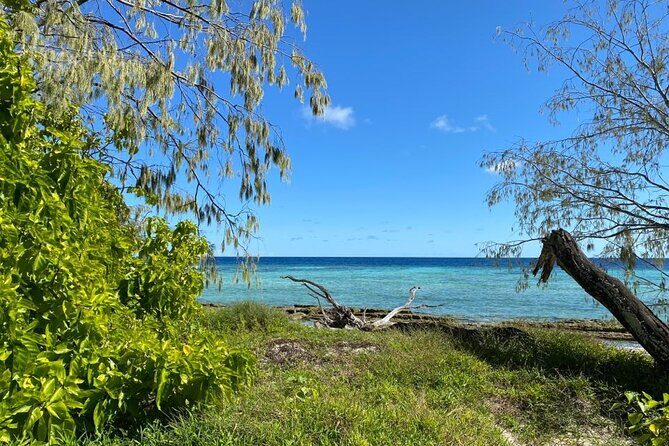 Lady Musgrave Day Trip from Bundaberg Including Snorkeling - FAQs