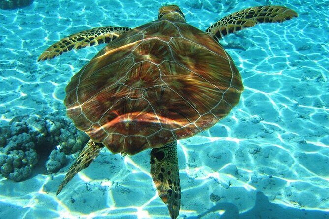 Laganas Zakynthos: Marathonissi, Keri Caves and Turtles Spotting - What to Expect on This Zakynthos Boat Tour