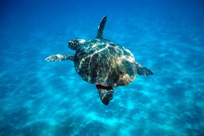 Laganas Zakynthos: Marathonissi, Keri Caves and Turtles Spotting - FAQs