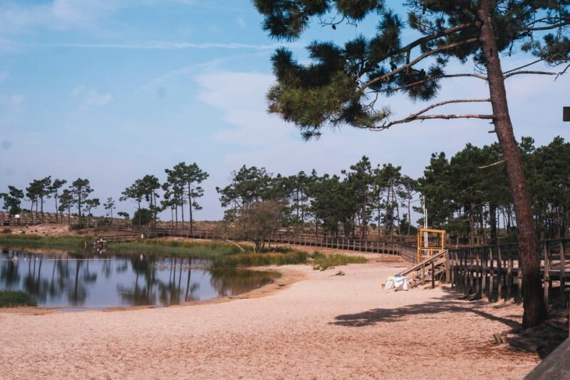 Lagoa da Ervedeira E-bike and Stand Up Paddle tour - Meeting Points and Flexibility