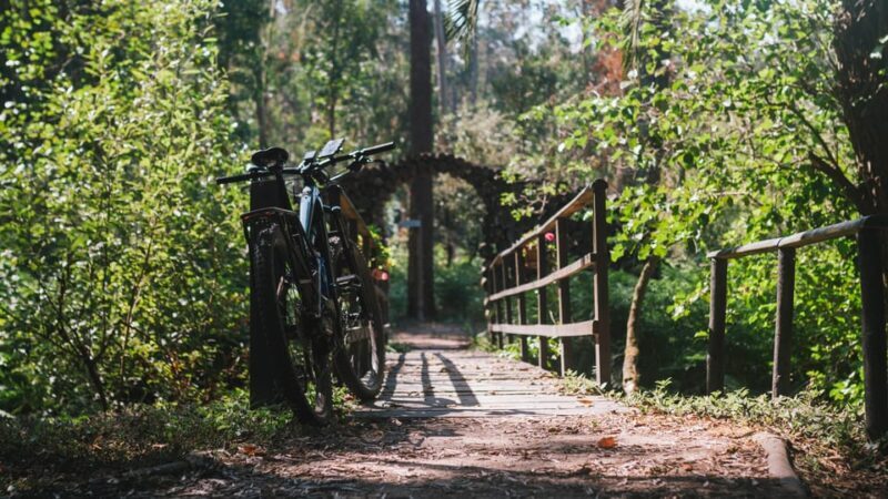 Lagoa da Ervedeira E-bike and Stand Up Paddle tour - Who Is This Tour Best For?