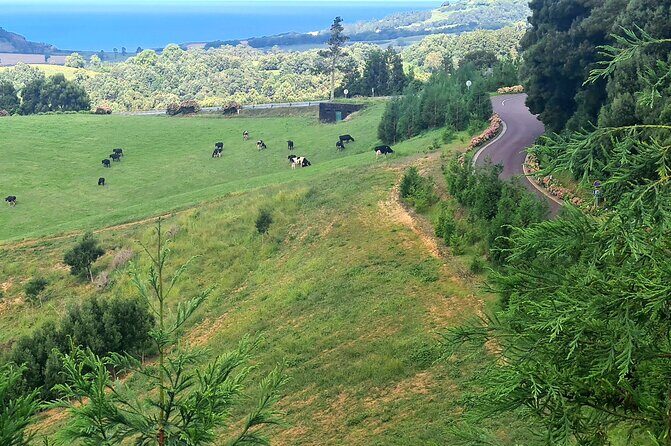 Lagoa do Fogo and Ribeira Grande Half Day Private Tour - Exploring São Miguel: An In-Depth Review